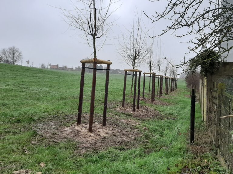 aanplantingen